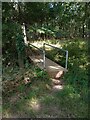 Footbridge into Maldon Wood in CO16 9BL