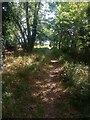 Footpath #1 in Maldon Wood in CO16 9BL