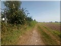 Little Clacton Bridleway 21 in CO16 9LG