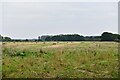 Wellingham: Harvested field with baled straw in PE32 2TH