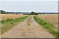 South Raynham: Track through harvested fields in NR21 7HR