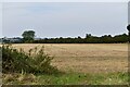 Weasenham St Peter: Harvested field in PE32 2ST