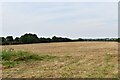 Weasenham St Peter: Harvested field in PE32 2TA