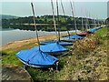 Sailing dinghies on the bank of Damflask Reservoir in S6 6HH