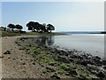 The beach north of Cairndhu Point in G84 8QD