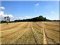 Footpath and Field of Stubble in NG15 0DJ