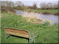 River Parrett at bankful discharge in TA12 6FE