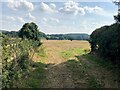 Crop Fields near Home Farm in Annesley