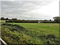 From a Swindon-Bristol train, flat landscape next to the railway in SN5 8YU