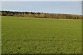 Arable Landscape in CB21 4HB