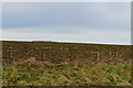 Ploughed field in CB21 4DZ