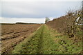 Field edge footpath in CB21 4DZ