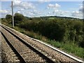 From a Swindon-Bristol train, lineside trees near Foxham in SN15 4NE
