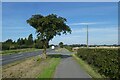 Cycle path beside the A1035 in HU17 7RA
