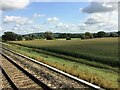 From a Swindon-Bristol train, fields of crops near the River Avon in SN15 4LS
