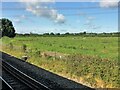 From a Swindon-Bristol train, fields and power lines near Thingley Junction in SN13 9QQ