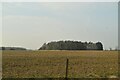 Woodland and farmland in Westhall
