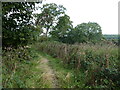 Footpath to South Wingfield in DE55 7LR