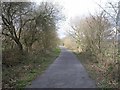 Cycle path in SA15 4RT