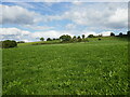 Grassland near Weir Mill Farm in DE5 3RR