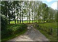 Farm track, Brampton Ash in Brampton Ash