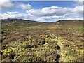 Path above Pitlochry in PH16 5ND