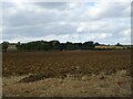 Ploughed field off Kibworth Road in Kibworths Ward