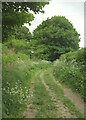 Bridleway, Piddletrenthide in DT2 7QN