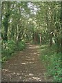 Public footpath in woodland at the Grove Golf Club, nr South Cornelly in CF36 3DJ
