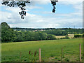 View north from bridleway 136, Farnham in GU10 5DU
