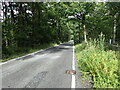 Thornden Wood Road through Thornden Wood in CT5 3ES