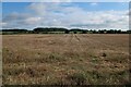 Stubble field by Common Lane in NR24 2PH