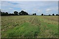 Field near Eastmoor Farm in NR24 2PH