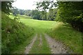 Field in the Ceiriog valley in SY10 7LX