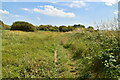 Footpath, Filsham Reedbeds in TN38 8FB