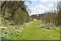 Footpath to Swarling Manor Farm in Chartham & Stone Street Ward