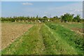 Footpath going in to the Jubilee Wood in SG18 8QS