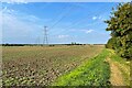Pylons and farmland in Biggleswade East Ward