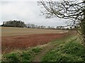 Footpath and Farmland in Hartburn