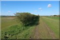 Footpath from Caldecote Manor Farm in PE19 6XQ