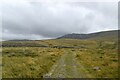 Track over the moor to Cwm Silyn in LL54 6RS