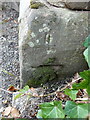 Benchmark by the entrance to Puddington Hall in CH64 5SQ