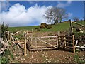 Gates above Ford Farm in TA24 7UH