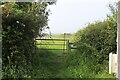 Gate on permissive bridleway, Pwll Street in SA71 5HE
