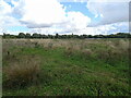 Across part of the RSPB reserve in B78 3TG