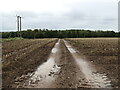 East Lothian Landscape : Track in potato field, near Ninewar in EH42 1SY