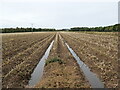 East Lothian Landscape : Potato field near Ninewar in EH42 1SY