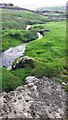 Stream in field west of Browna Paddocks in DL8 3JL