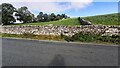 Fields on north side of road east of Bird Gill Plantation in DL8 3JL