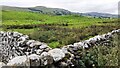 Field east of Browna Paddocks viewed over roadside dry stone wall in DL8 3JL